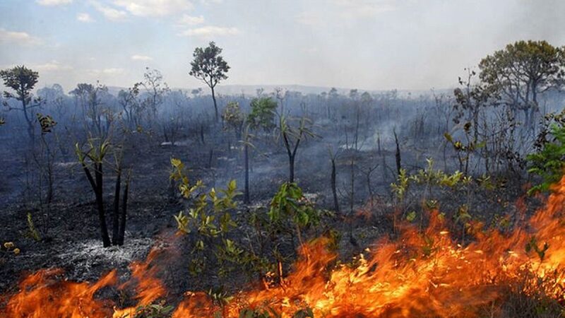 PAUTA VERDE: STF volta a julgar desmatamento e queimadas na Amazônia e no Pantanal