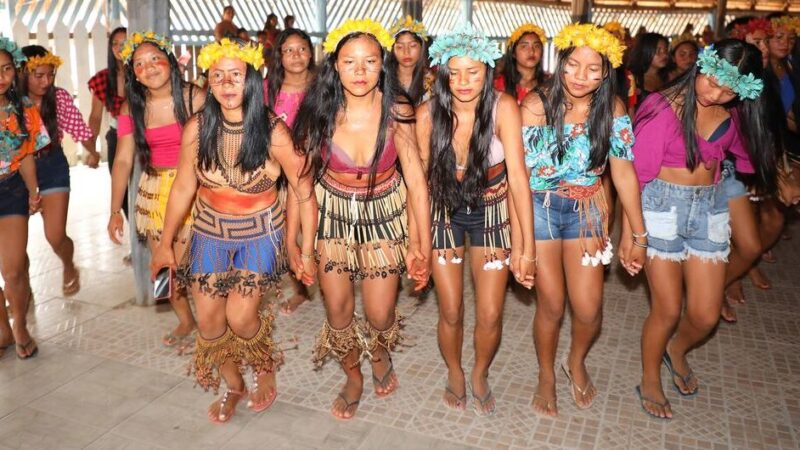 Ativistas indígenas e quilombolas do Brasil estão entre os mais vulneráveis à violência – Fato Novo