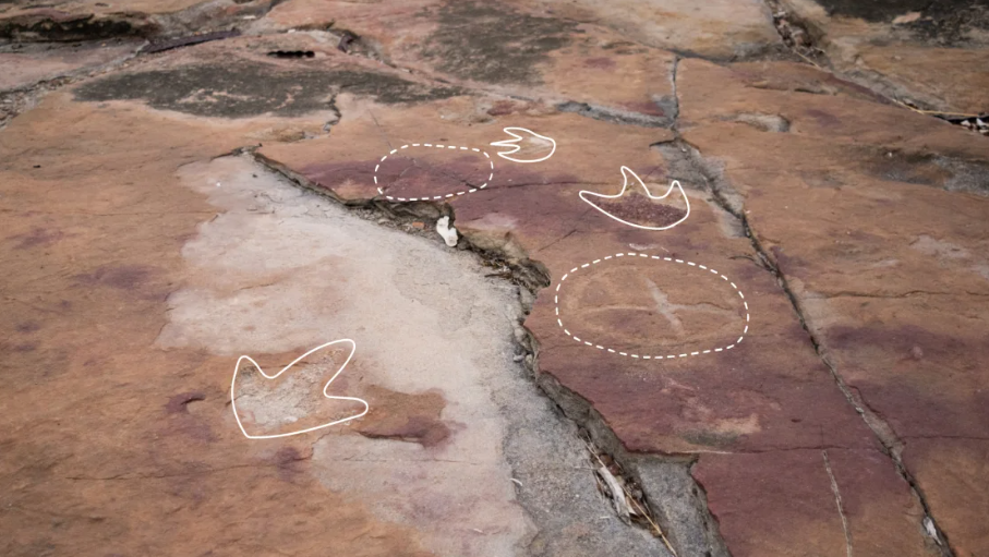 Desenhos próximos a pegadas fossilizadas no Brasil indicam consciência dos indígenas sobre dinossauros – Fato Novo