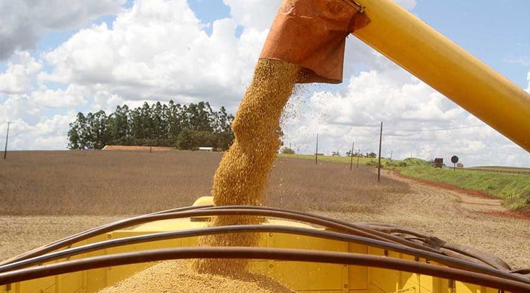 Mato Grosso segue na liderança da produção nacional de grãos