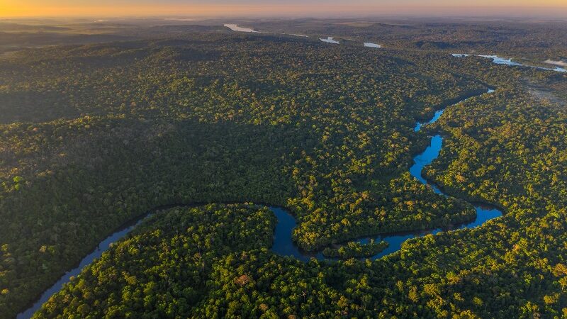 Tribunal de Justiça de MT derruba proteção de uma das mais importantes Unidades de Conservação da Amazônia mato-grossense