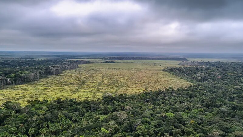 Prorrogada adesão a programa de combate ao desmatamento na Amazônia