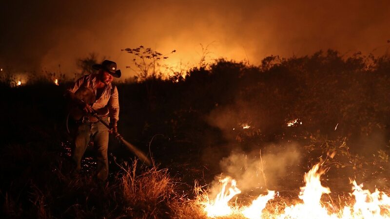 Pesquisadores da UFRJ e INPE alertam para impacto da atividade humana nos incêndios no Pantanal de Mato Grosso