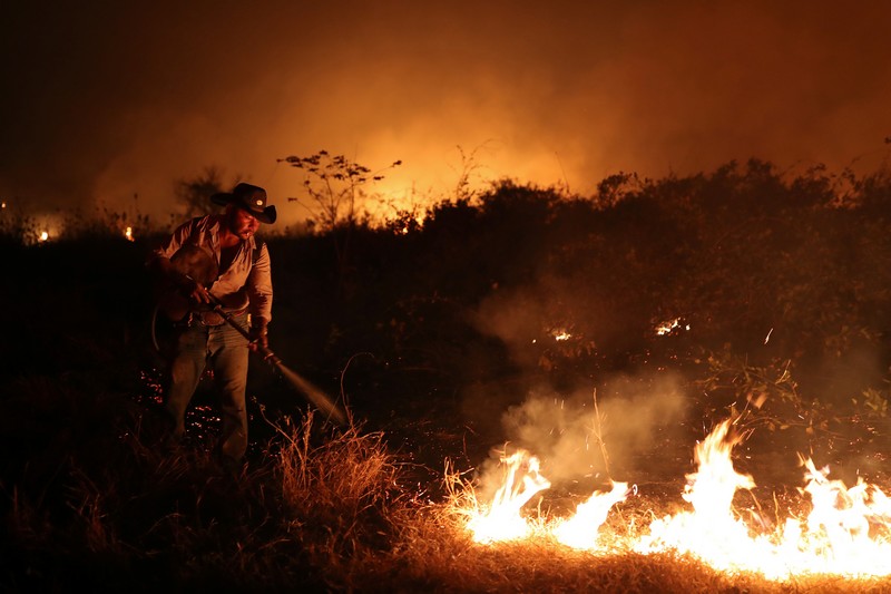 Pesquisadores da UFRJ e INPE alertam para impacto da atividade humana nos incêndios no Pantanal de Mato Grosso
