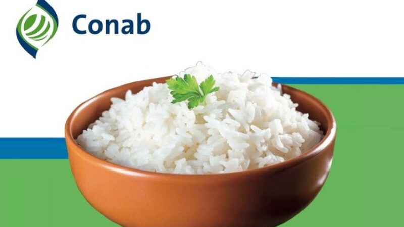 Medida provisória autoriza Conab a vender arroz importado para consumidor final