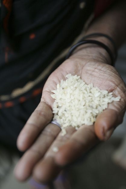 Governo amplia para R$ 7,2 bilhões recursos para estimular importação de arroz