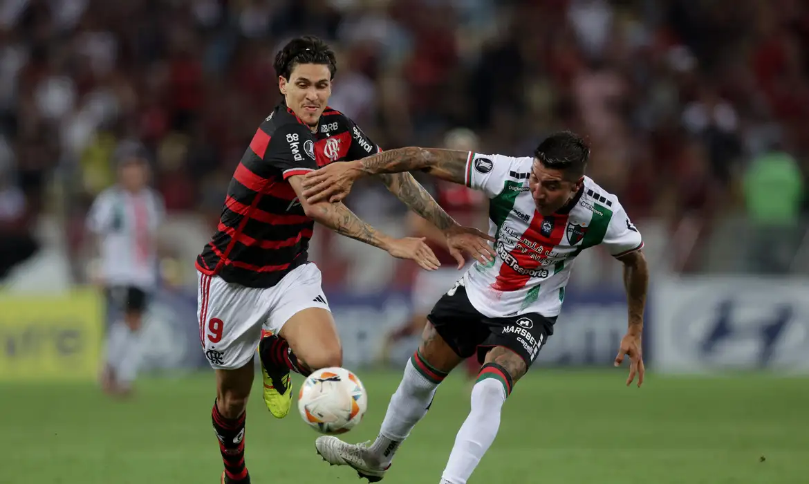 Palestino x Flamengo onde assistir hoje, 7 de maio de 2024