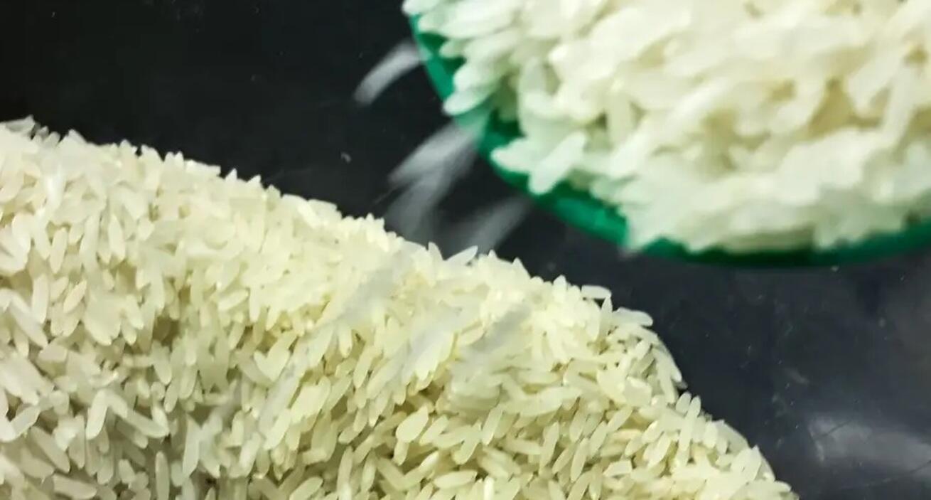 Governo não vai competir com produtores gaúchos de arroz, diz ministro