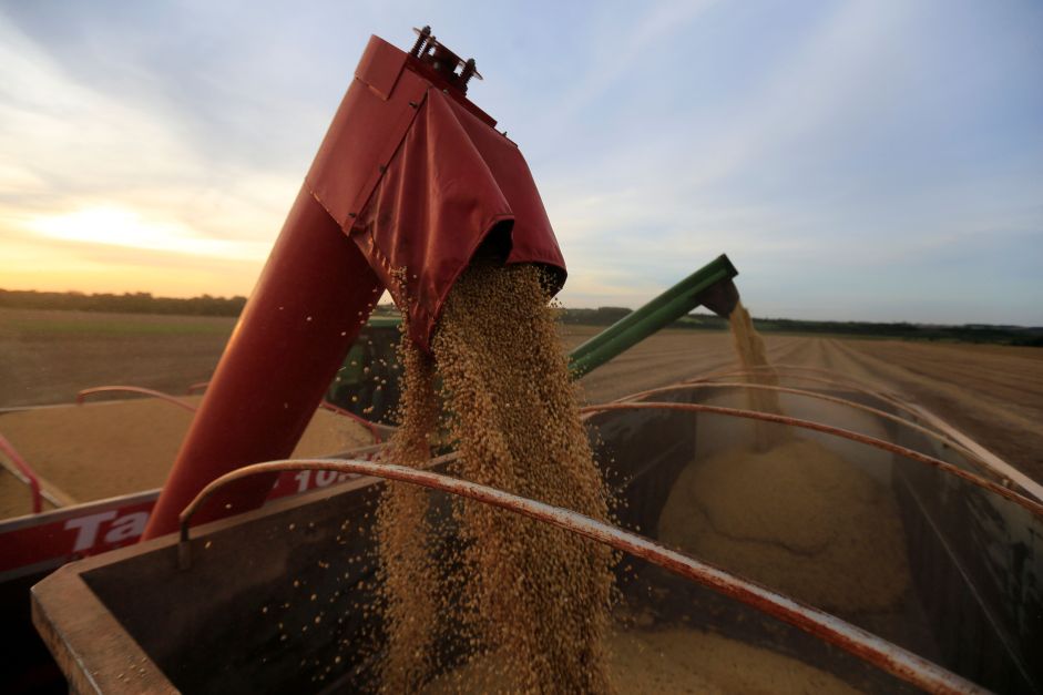 Custo da MP do PIS/Cofins reduzirá em 4% preço da soja ao produtor, diz Abiove
