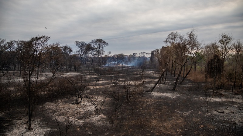Governo envia helicópteros e aviões militares para auxiliar no combate ao fogo no pantanal