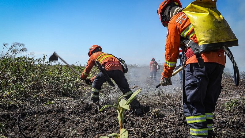 Corpo de Bombeiros segue no combate a quatro incêndios florestais nesta segunda-feira (22)