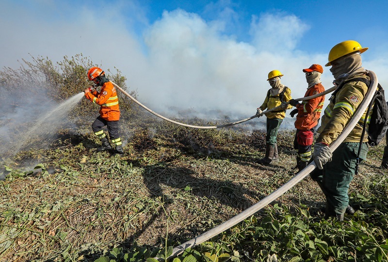 Corpo de Bombeiros extingue incêndio florestal em Primavera do Leste nesta segunda-feira (29)