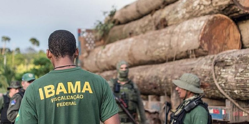 “Greve do Ibama causa colapso financeiro em empresas de exportação de madeira”, afirmam Fiemt e FNBF