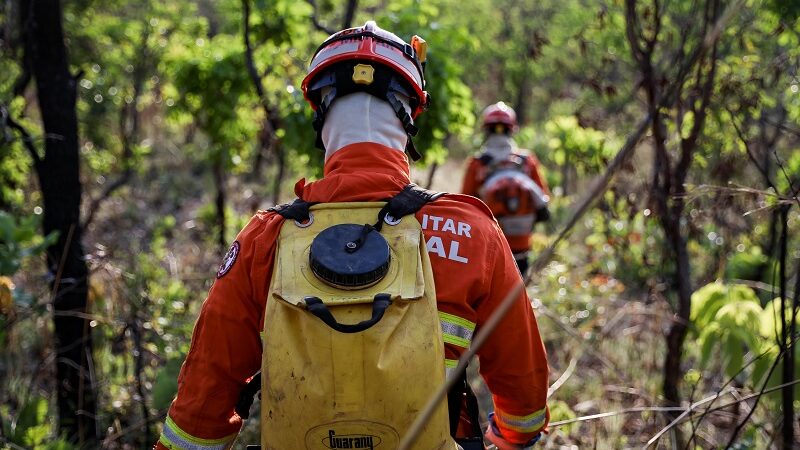 Corpo de Bombeiros segue no combate a incêndio florestal em Cáceres nesta segunda-feira (01)
