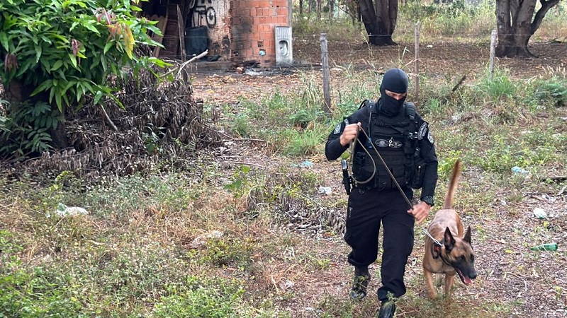 Polícia Civil cumpre 4 mandados de busca e apreensão em Santo Antônio do Leverger