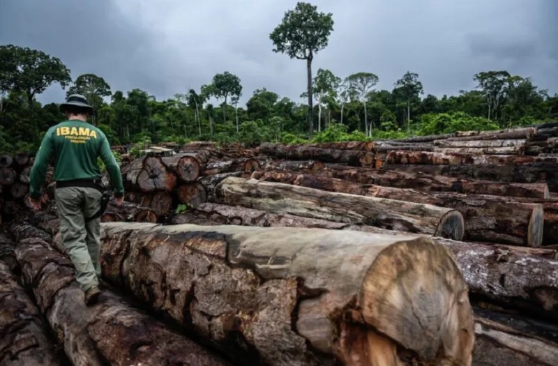 Prazo para exigir que infrator ambiental entregue bem apreendido conta da data de sua recusa