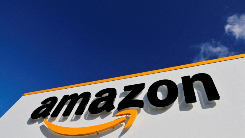 Amazon e outras empresas irão comprar US$ 180 mi em créditos de carbono da Amazônia