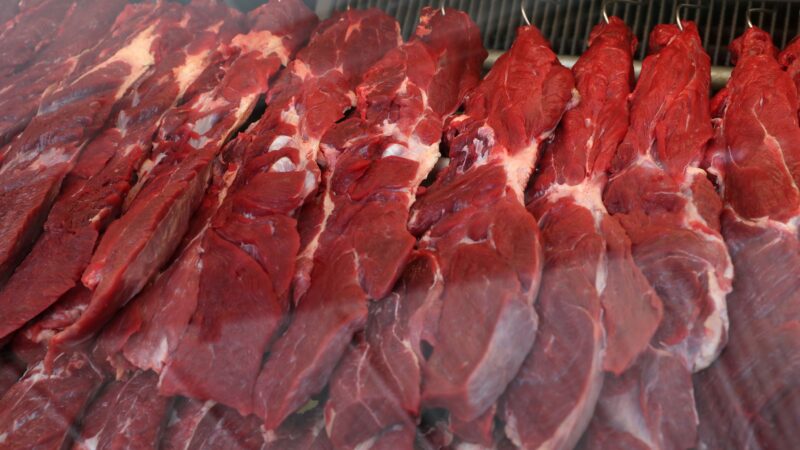 Conab vê queda de 4,3% na produção de carne bovina em 2025 com reversão do ciclo