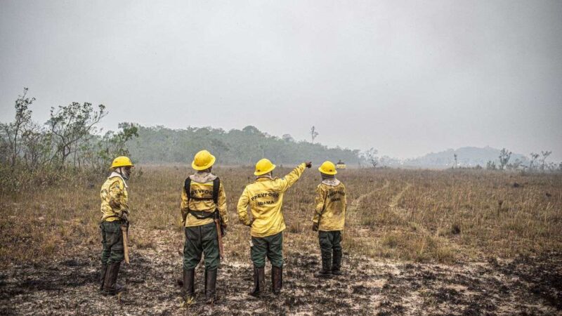 Dino estabelece orçamento de emergência para combate a incêndios