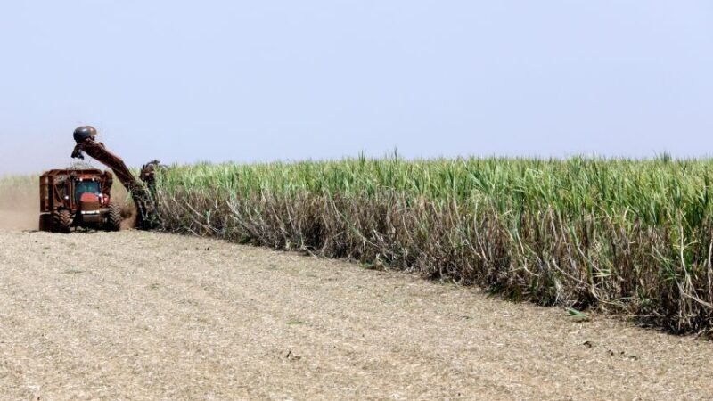 Ministro da Agricultura Carlos Favaro fala sobre papel do Brasil na produção de biocombustíveis