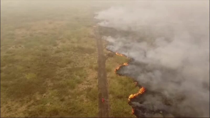 Preço de alimentos devem subir por seca e incêndios, dizem especialistas