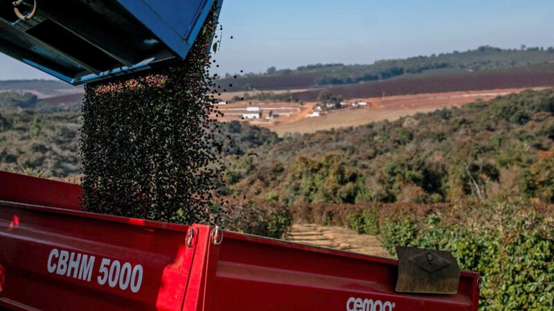 Preços do café e açúcar atingem novas máximas impulsionados por seca no Brasil