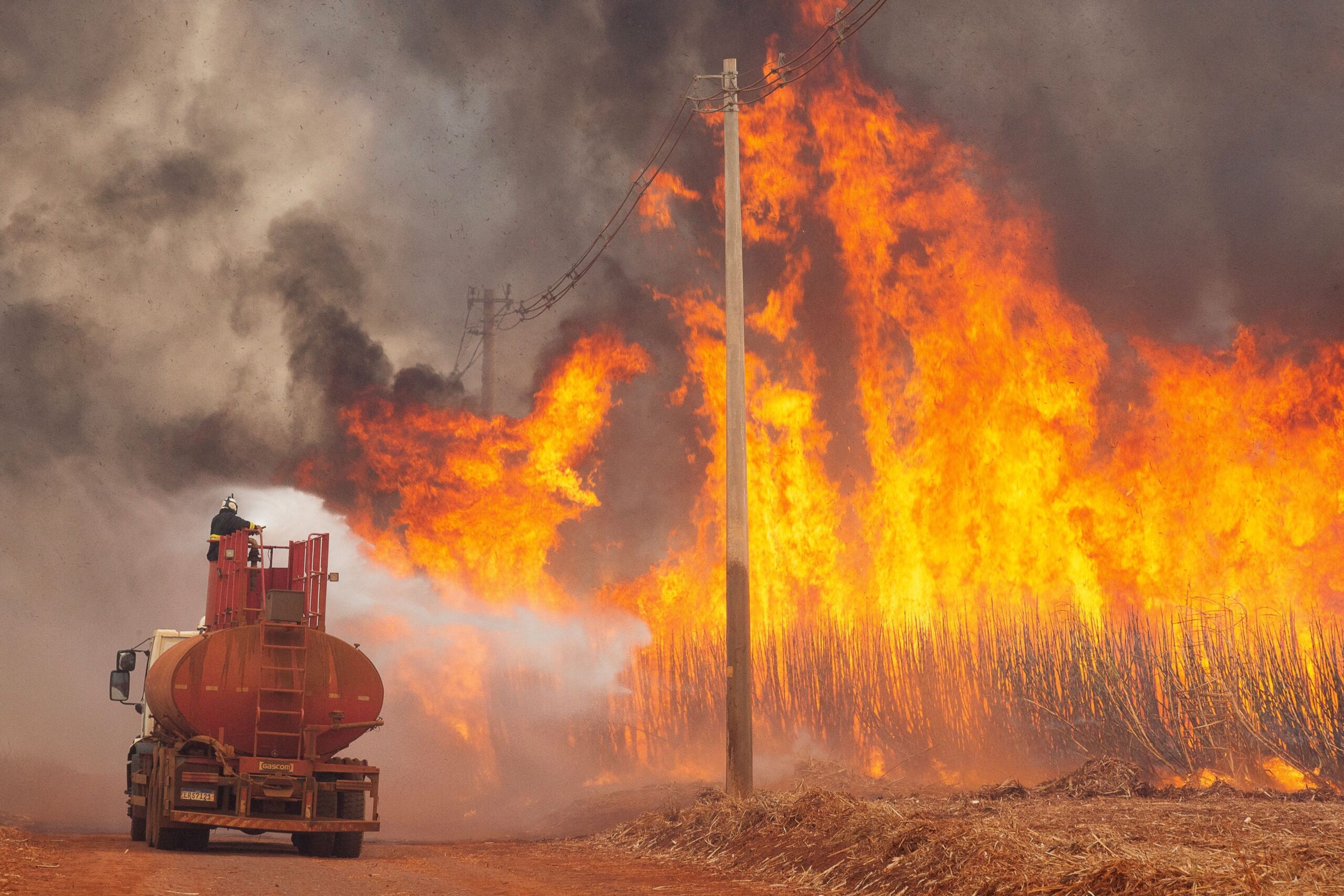 Mato Grosso e São Paulo lideram prejuízos no agronegócio por queimadas no agosto e setembro Amarelo