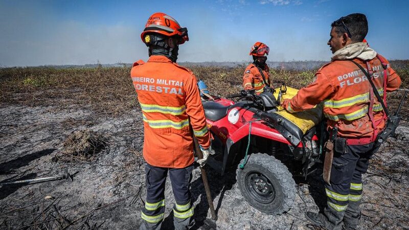 PJC prende 16 pessoas por fazerem queimadas em florestas em MT