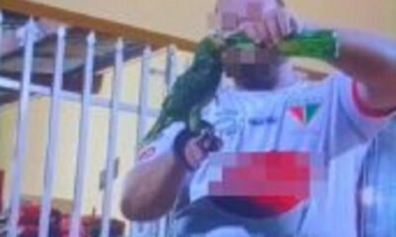 EM CUIABÁ: Polícia Civil identifica homem que aparece em vídeo oferecendo cerveja para um papagaio