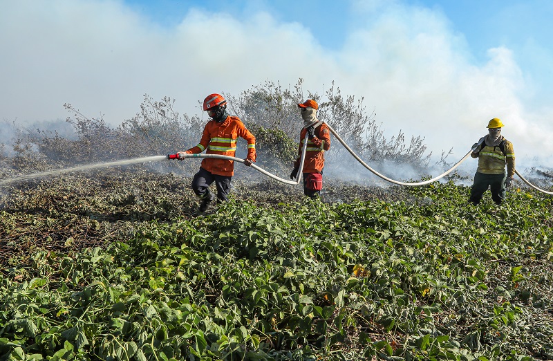 Bombeiros de MT combatem 22 incêndios florestais no Estado neste sábado (12)