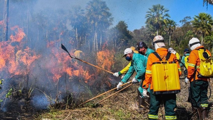 Queimadas STF veda processos de combate a incêndios na Amazônia e no Pantanal