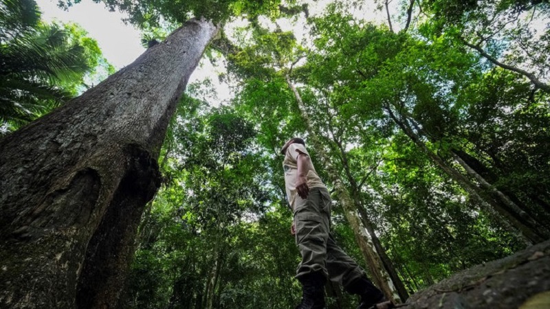 MEIO AMBIENTE : AGU amplia atuação em defesa da recuperação dos biomas brasileiros