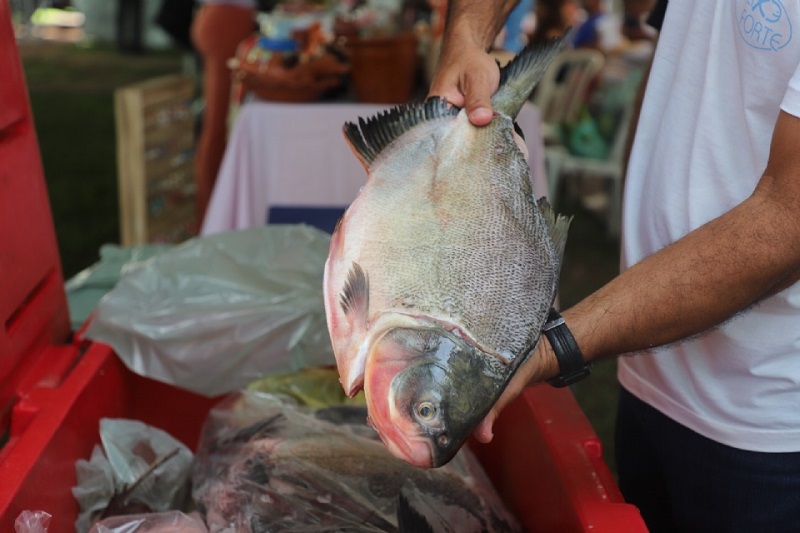 População Cuiabana mais uma vez sem o “Peixe Santo” com a prefeitura desestruturada