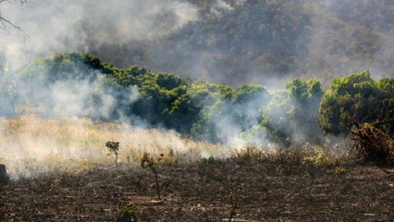 STF decide que obrigação de reparar dano ambiental convertida em indenização não prescreve