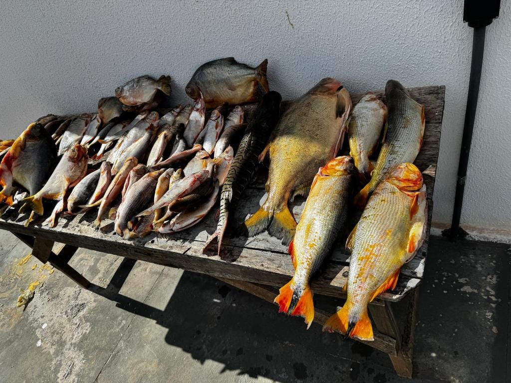 Pescador profissional que comercializava pescado irregular é preso em VG