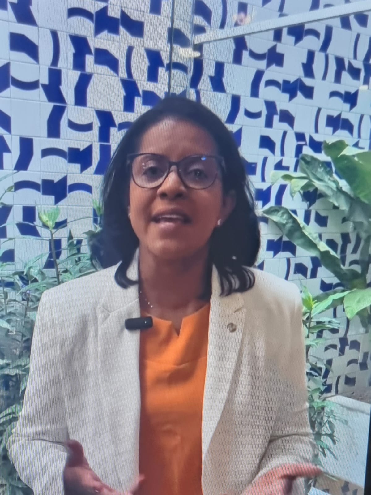 "Vai onerar em R$ 64 milhões os cofres públicos', diz Gisela sobre votar contra projeto