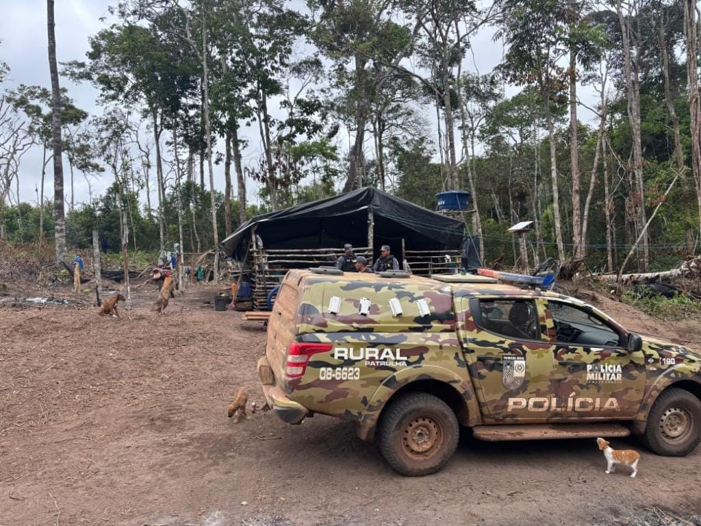 Crianças com idade entre 8 e 12 anos são resgatadas de trabalho infantil em MT e três pessoas são presas