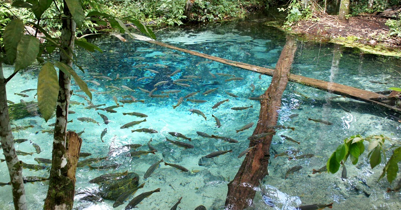 MT lança licitação de R$ 18 milhões para asfaltar e urbanizar distrito em região turística