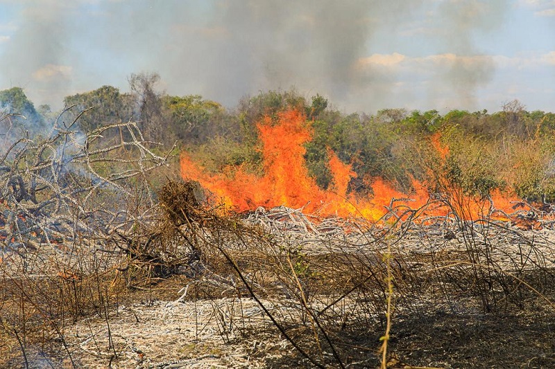 Polícia Militar prende homem por provocar incêndio em zona rural de Vila Rica