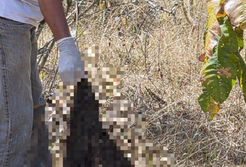 Polícia Civil encontra ossada que revela indícios de tortura e decapitação