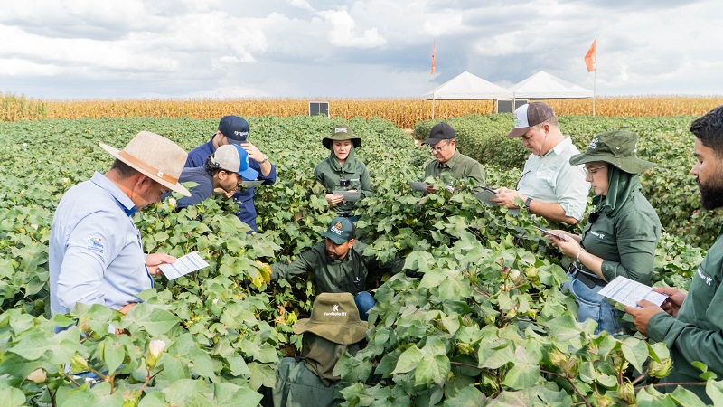 Fundação MT promove 17º Encontro Técnico do Algodão em Cuiabá com foco na inovação e desafios da cultura