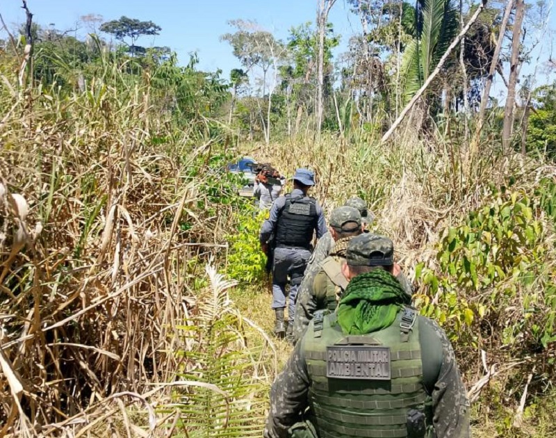 Polícia Militar fecha área de desmatamento ilegal em fazenda e prende três homens em flagrante