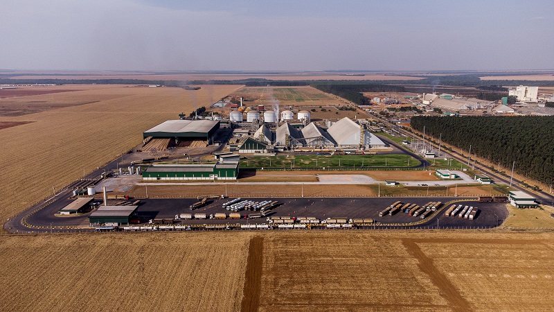 MT registra nova alta na previsão do PIB de 2025 e permanece líder em crescimento econômico do país