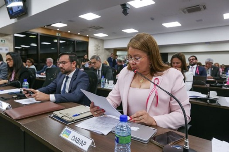 Conselho Pleno da OAB aprova ingresso como amicus curiae na ADI 7.005