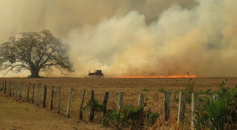 BNDES abre protocolo sobre crédito para renegociação de dívidas rurais