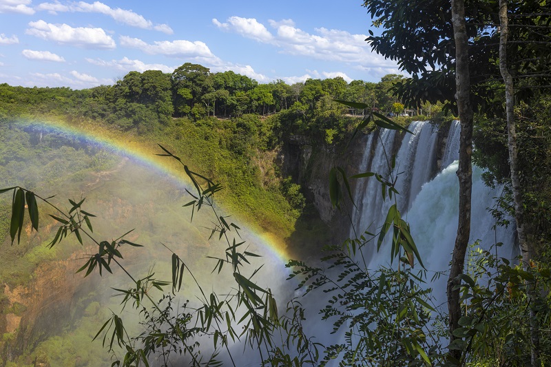 Operação Amazônia Nativa
