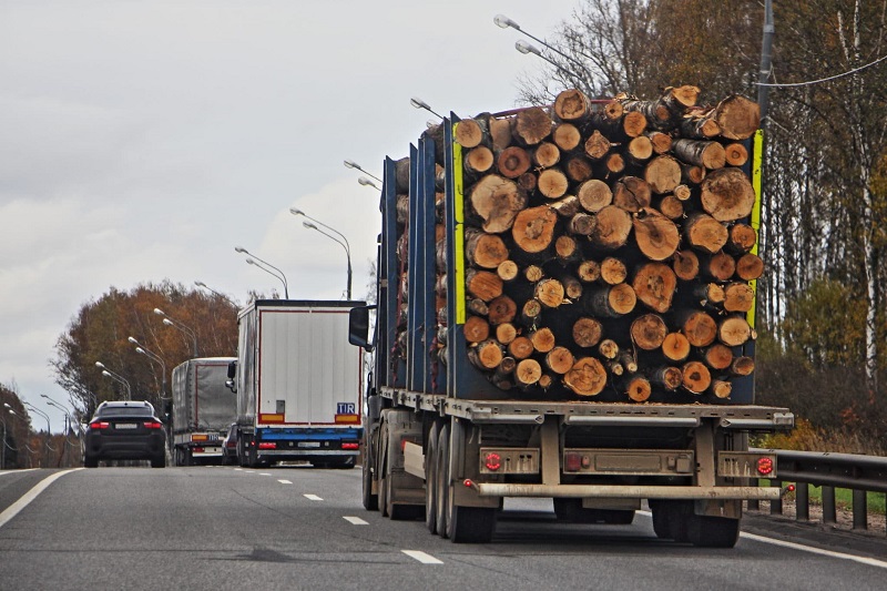 CADEIA AMBIENTAL: Transporte irregular de madeira gera dano moral coletivo, define STJ