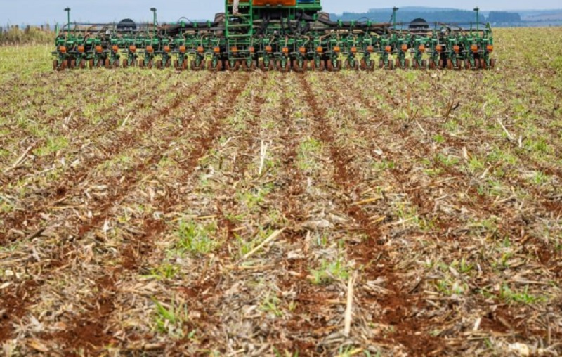 DATAGRO Grãos: plantio da safra 2025/26 de soja no Brasil ultrapassa metade da área projetada