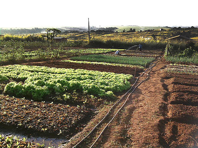 Governo de Mato Grosso lança sistemas Simcar para regularização de assentamentos e compensação ambiental