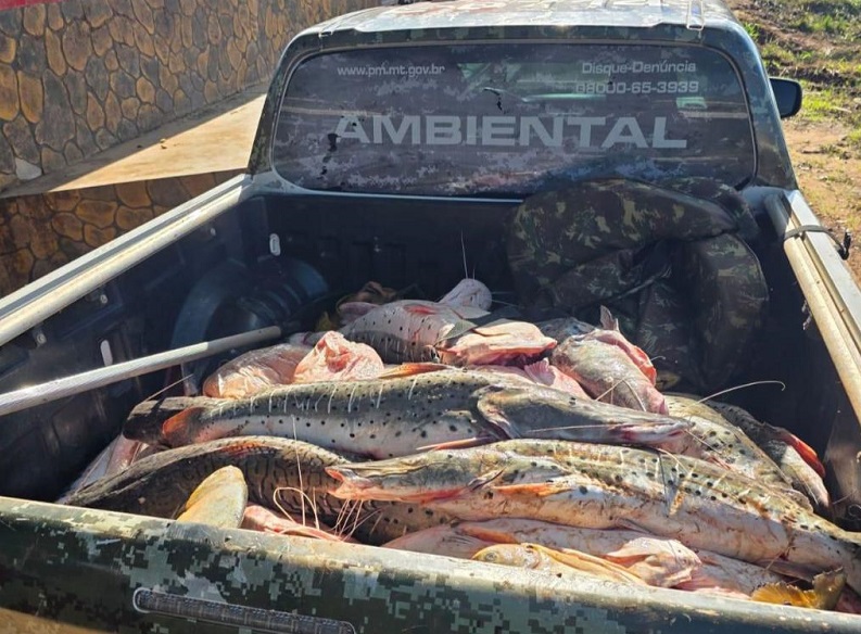 PIRACEMA: Polícia Militar apreende mais de 1 tonelada de pescado irregular